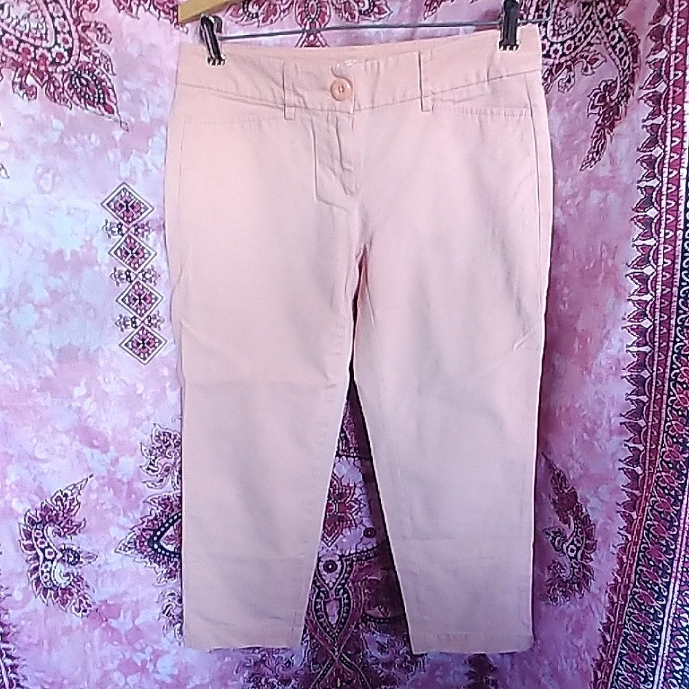 LOFT Peach Pants